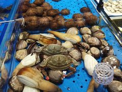 -鲜得莱渔港·小平岛海胆馆(七贤岭店)