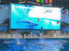 -泉城欧乐堡海洋极地世界