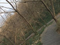 -南山风景名胜区