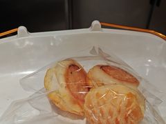 -金砂公园