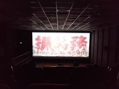 -华美国际影城(旧宫永辉店)