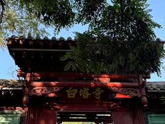 -白塔山公园