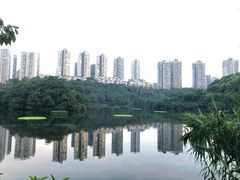 -重庆彩云湖湿地公园