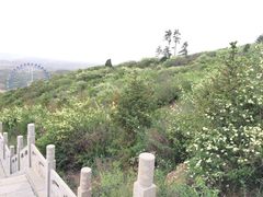 -山西乌金山旅游区