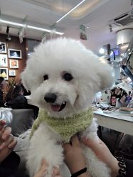 -十月日记高端孕妈妈摄影(黄金大厦店)