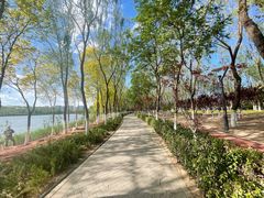 -大兴滨河森林公园