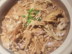 -佬肥猫(国华广场店)