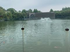 -春晖园度假酒店温泉