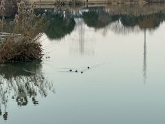 -九里河湿地公园