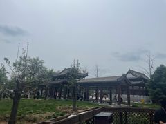 -赵州桥景区