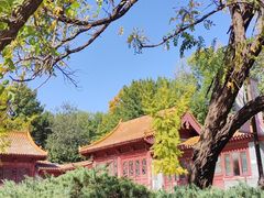 -元大都城垣遗址公园