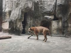 -南昌动物园