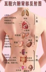 -克丽缇娜
