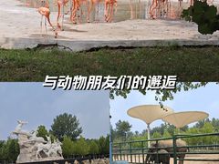 -秦皇岛野生动物园