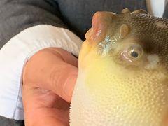 -永安鱼庄·镇江菜(东吴路店)