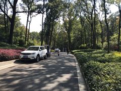 -南京东郊国宾馆