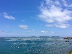 -枸杞岛