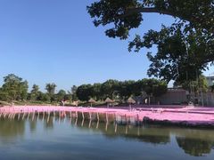 -上海杨姆庄园