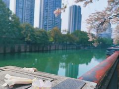 -成都市活水公园