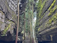 -梭布垭石林景区