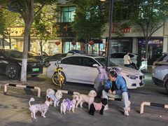 -汉森熊啤酒屋(雨耕山店)