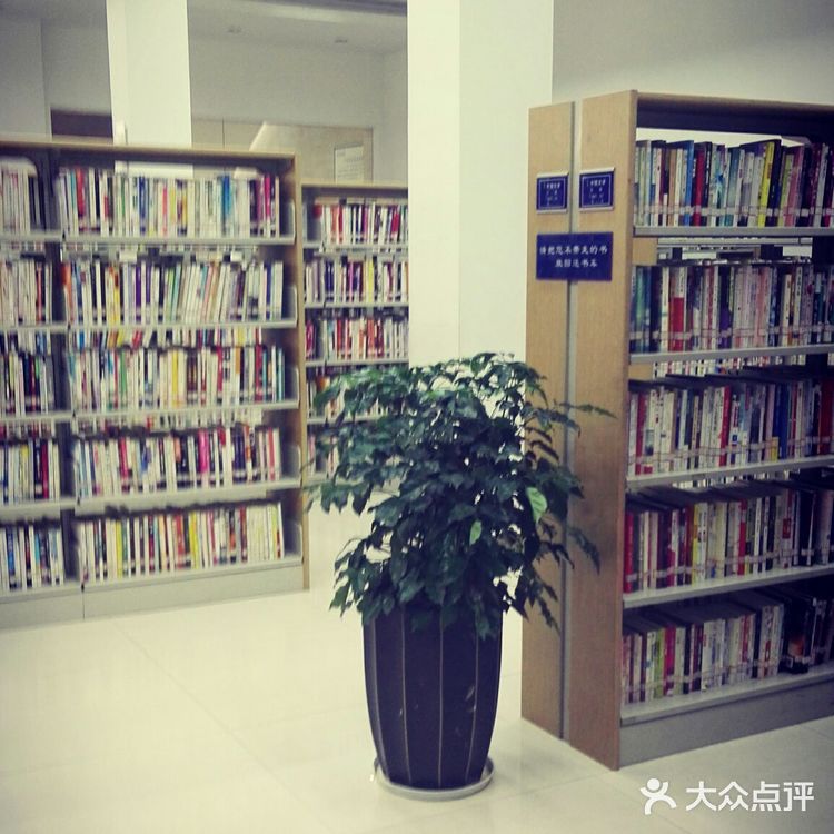 记得好像也是某一年读书日或其他纪念日开设的文化馆