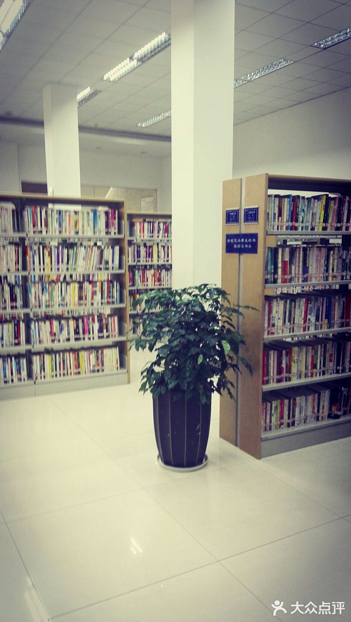 记得好像也是某一年读书日或其他纪念日开设的文化馆