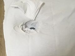 -宜华康盲人按摩(马连洼旗舰店)