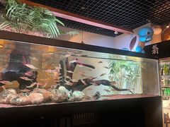 -阿泽料理
