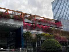 -四海公园(南山区)