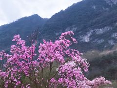 -九皇山景区