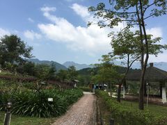 -田野绿世界
