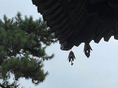 -隆兴寺
