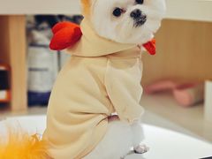 -宠颐生动物医院·心脏科·保险定点(锦阳分院)