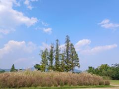 -良渚古城遗址公园