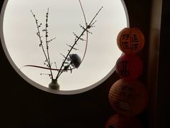 -炎橘·板前料理 Omakase