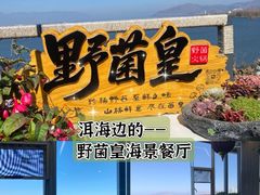 -野菌皇海景野生菌火锅(滨海大道店)