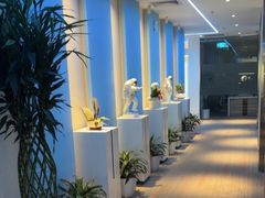 -爱氧森林·日本兴百世SHENPIX微高压氧舱