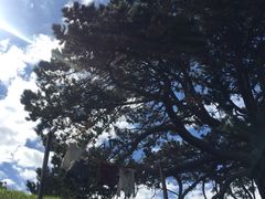 -霍比特人村