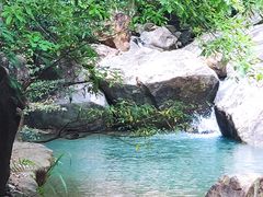 -广州白江湖森林公园