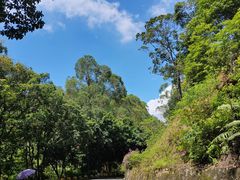 -大雁山风景区