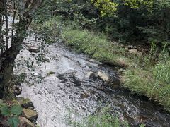 -广州市石门国家森林公园