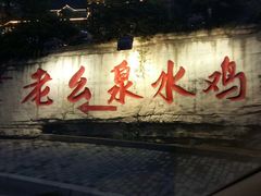 -老幺泉水鸡