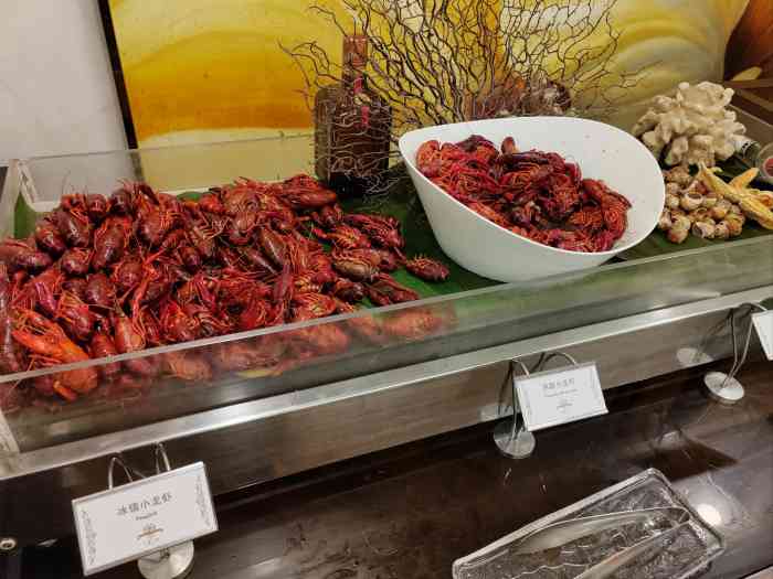 上海大厦·belle vue-"老妈在电视台看节目团的自助餐券,端午过来.