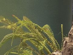 -甦杏鸡毛店(营门口店)