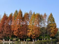 -南京珍珠泉风景区