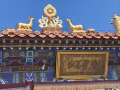 -大召无量寺