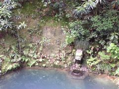 IMG_2650-十八棵（老龙井）御茶园(老龙井店)
