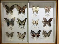 -中国湿地博物馆