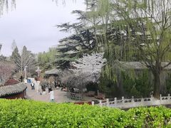 -北京积水潭医院(回龙观院区)